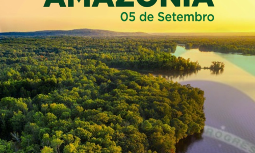 Amazônia: Empreendedorismo Sustentável em Ação no Dia Mundial da Preservação