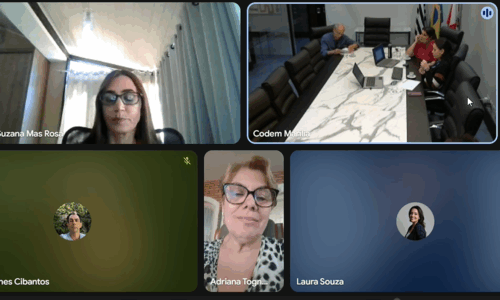 REUNIÃO CT – SANEAMENTO AMBIENTAL