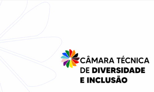 REUNIÃO – CT DIVERSIDADE E INCLUSÃO