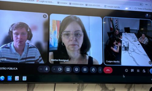 REUNIÃO CT – GESTÃO PÚBLICA E DESENVOLVIMENTO ECONÔMICO