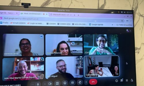 REUNIÃO CT – DIVERSIDADE E INCLUSÃO